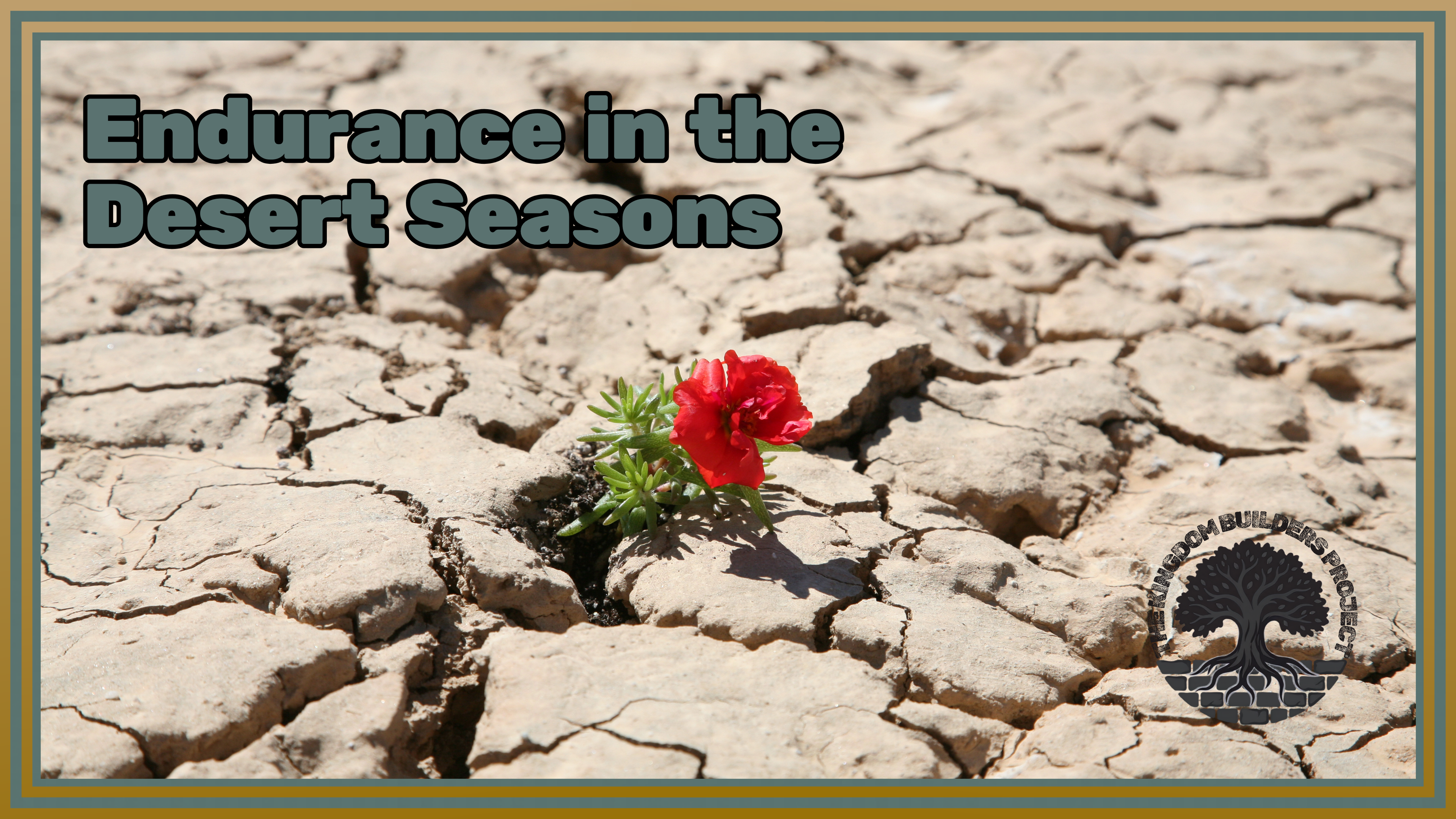 Endurance in the Desert Seasons